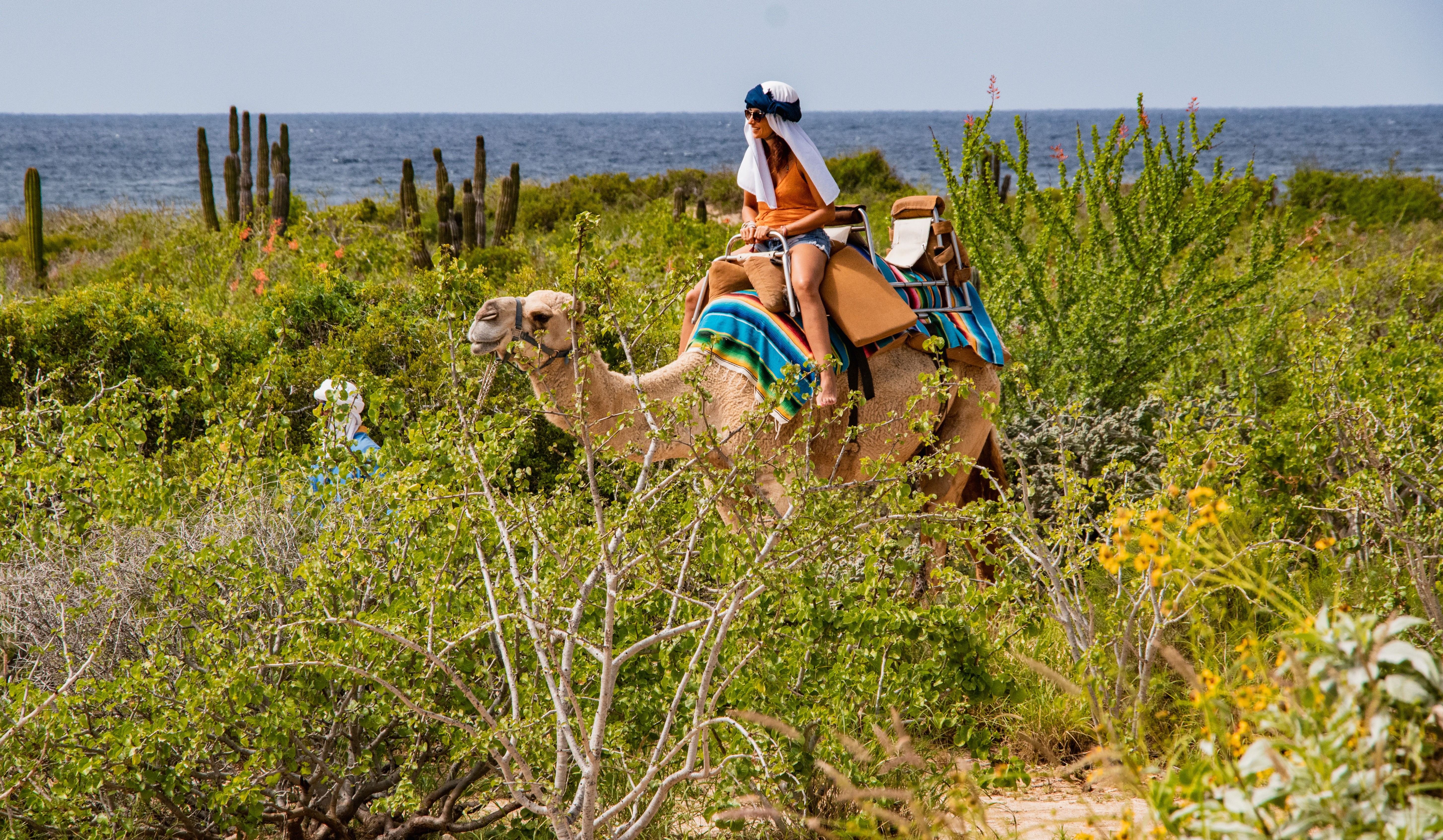 camel_ride_activity